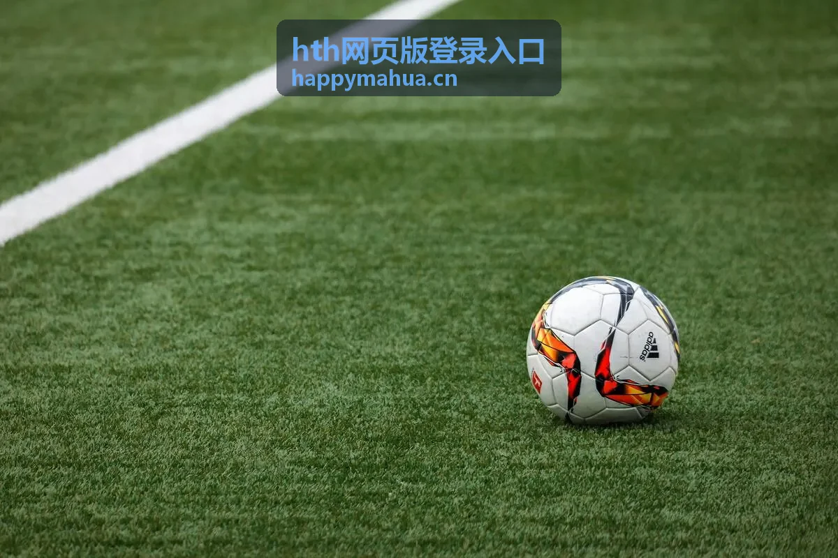 hth网页版登录入口团队成员添加与角色分配