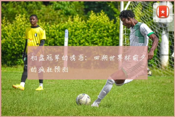 初盘冠军的诱惑：回溯世界杯前夕的疯狂预测