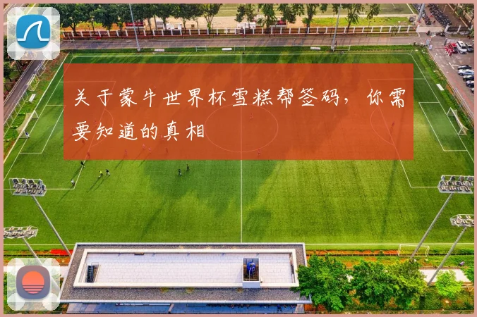关于蒙牛世界杯雪糕帮签码，你需要知道的真相