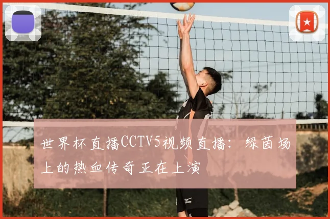 世界杯直播CCTV5视频直播：绿茵场上的热血传奇正在上演