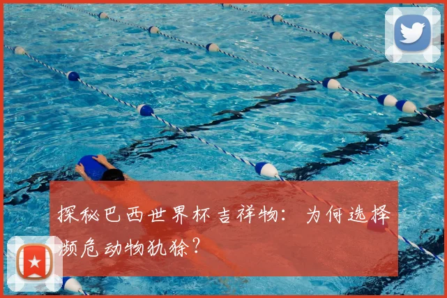 探秘巴西世界杯吉祥物：为何选择濒危动物犰狳？