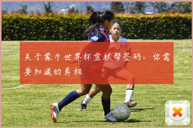 关于蒙牛世界杯雪糕帮签码,你需要知道的真相