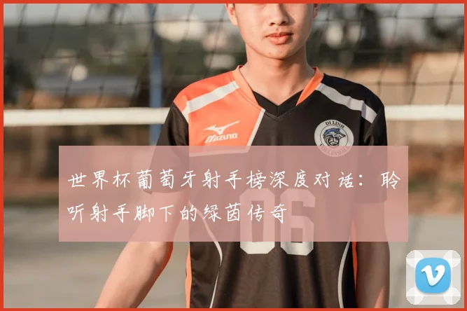 世界杯葡萄牙射手榜深度对话:聆听射手脚下的绿茵传奇